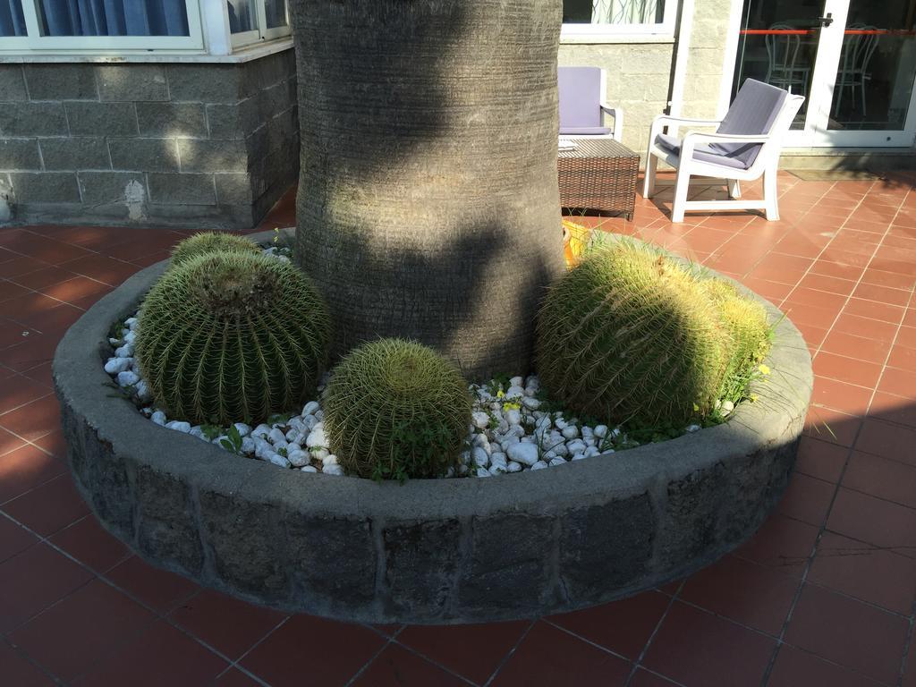 Hotel Villa Al Parco Forio di Ischia 외부 사진